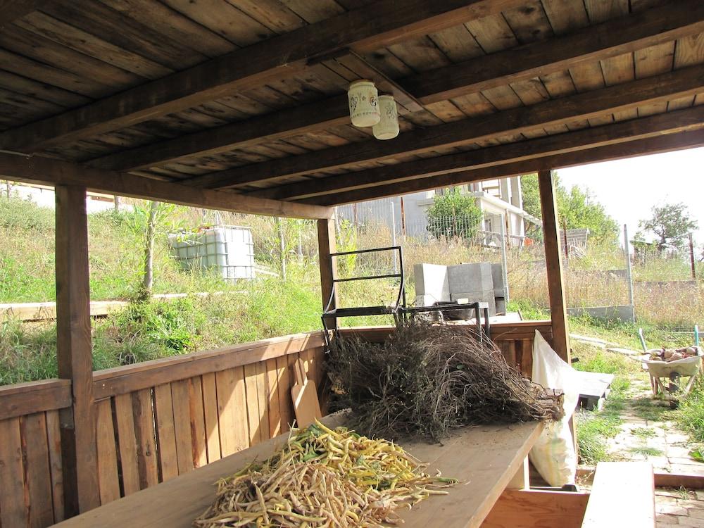 Agropensiunea Maris