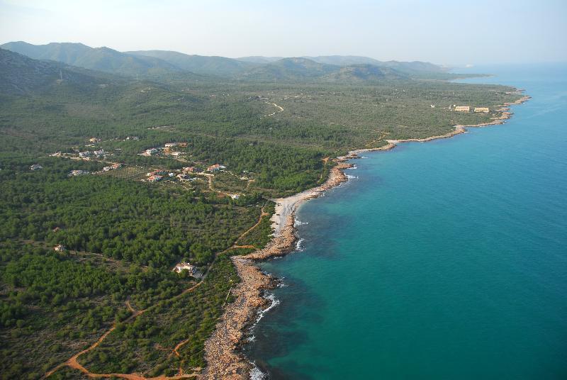 Apartamentos El Rocio Casa Azahar