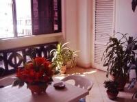 Hostal Casa Conchita