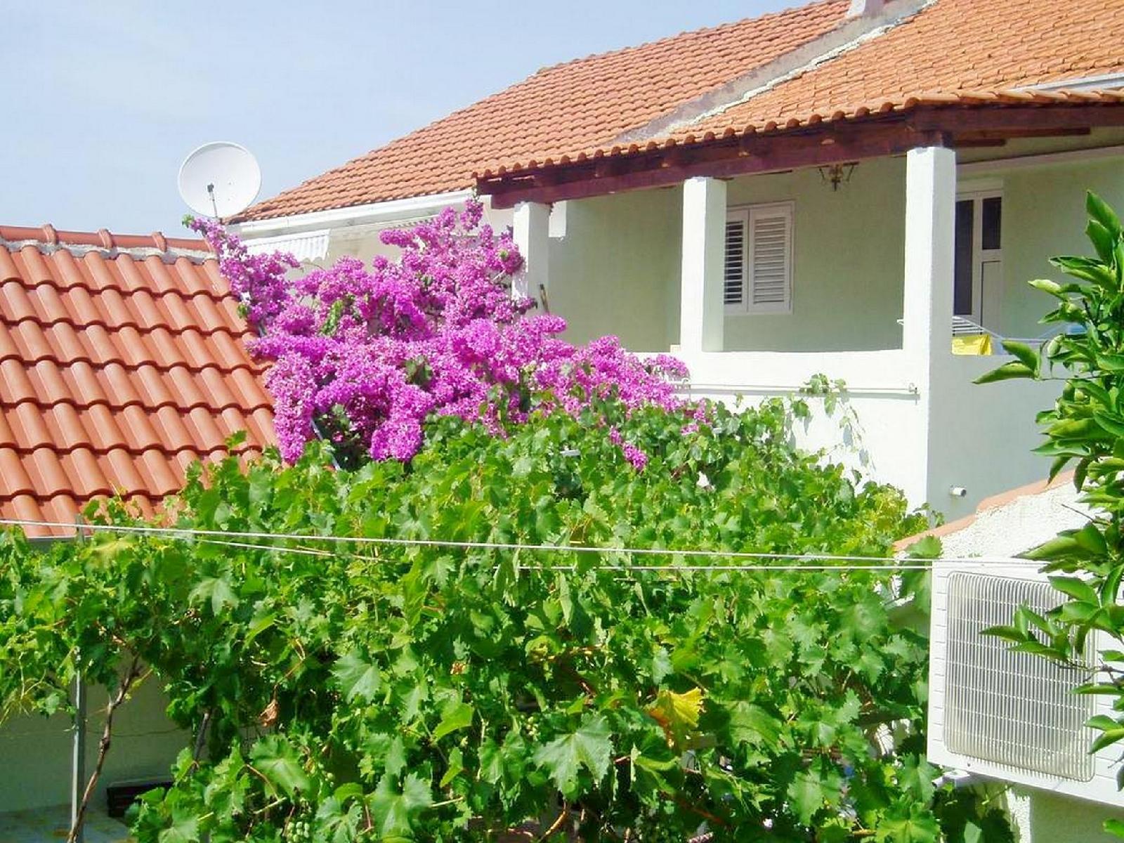 Apartments Jase