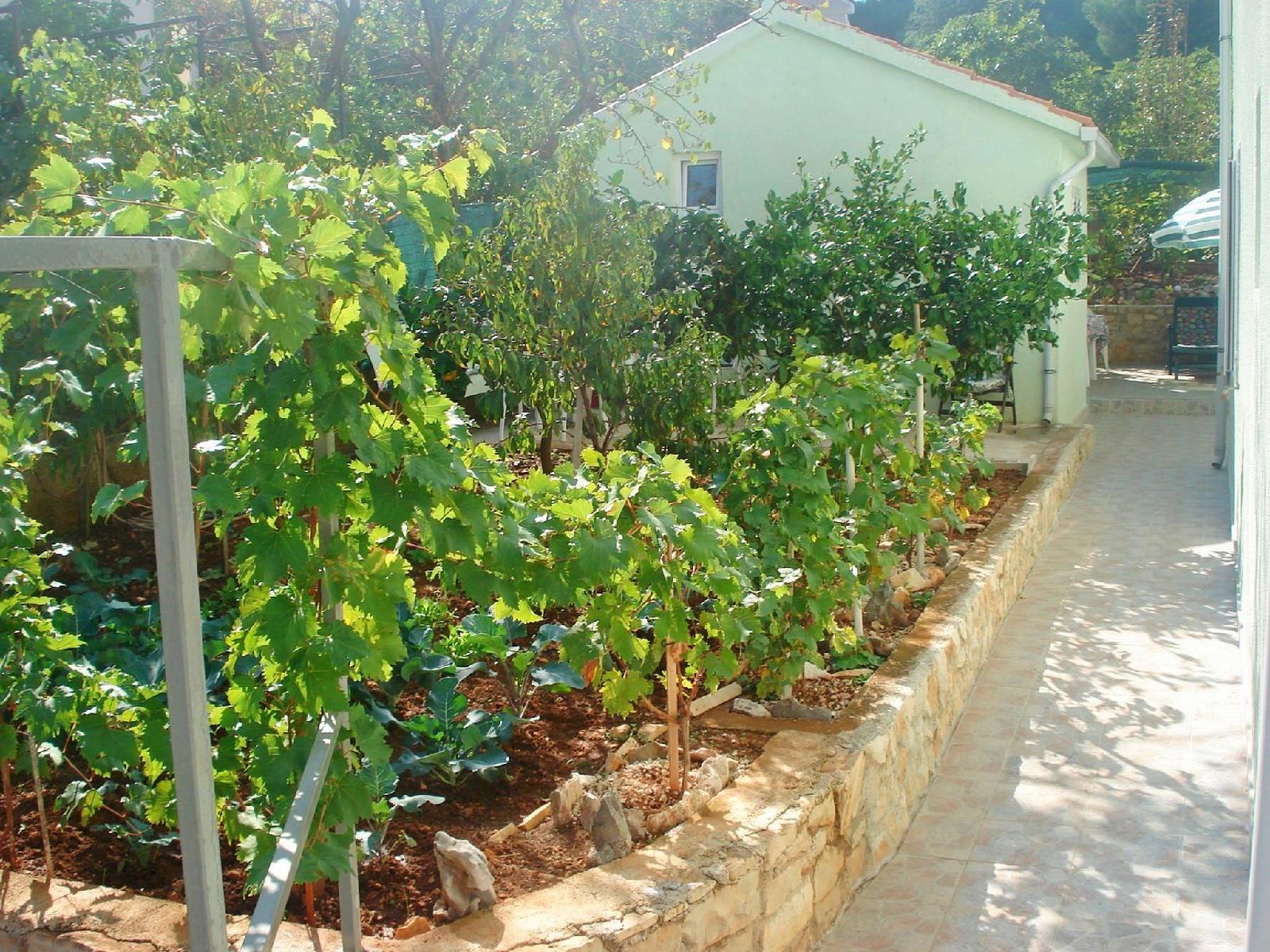 Apartments Jase