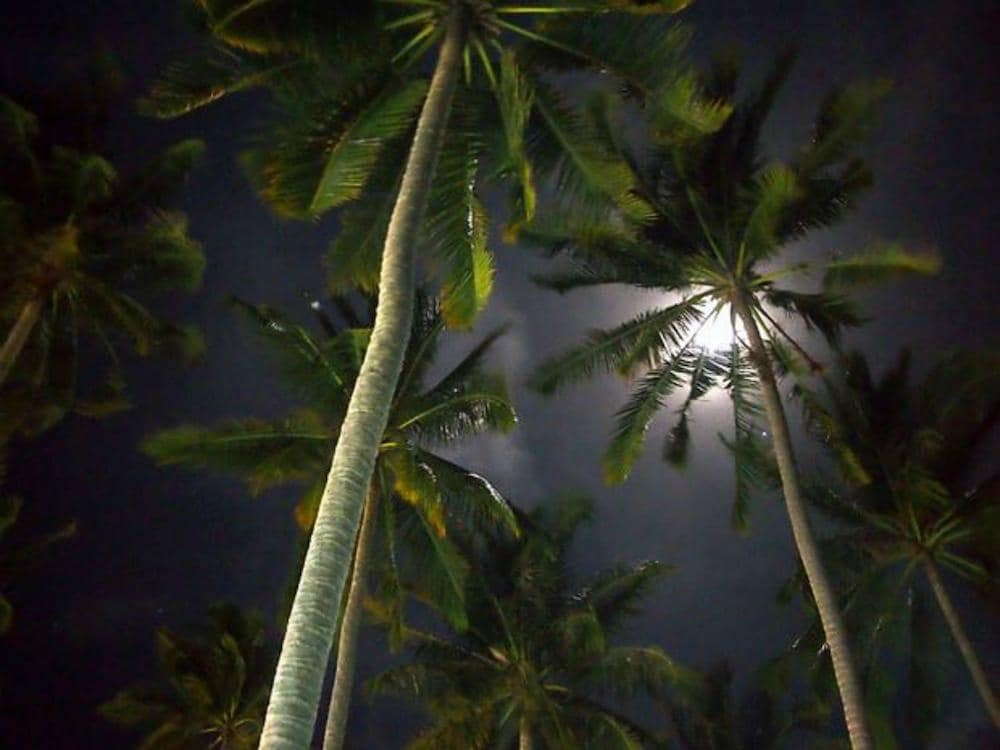 Mahawewa Nature Resort