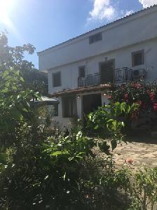 Alekos Rooms and Apartments