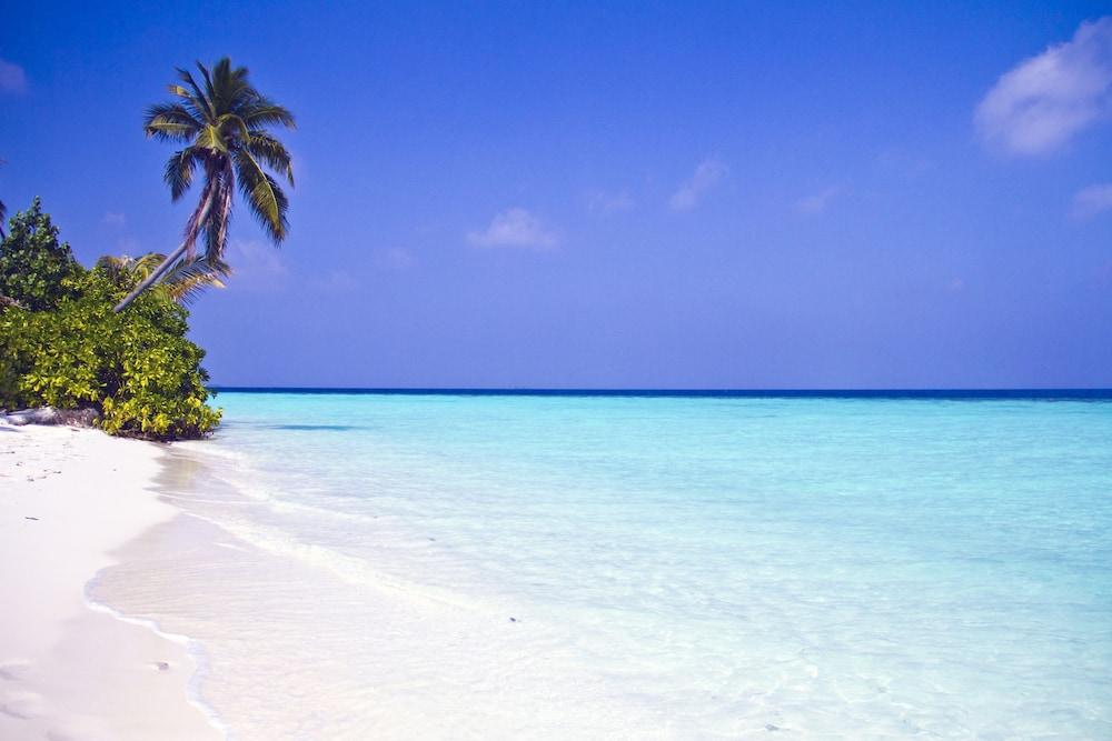 Safari Island Resort & Spa