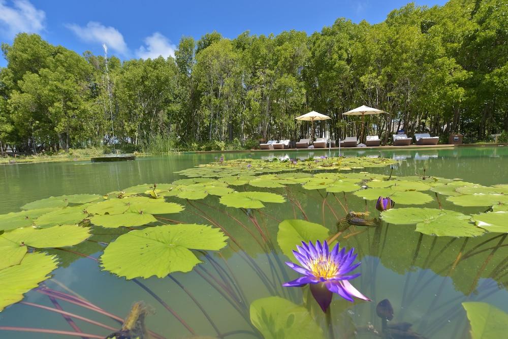 Dreamland The Unique Sea & Lake Resort / Spa