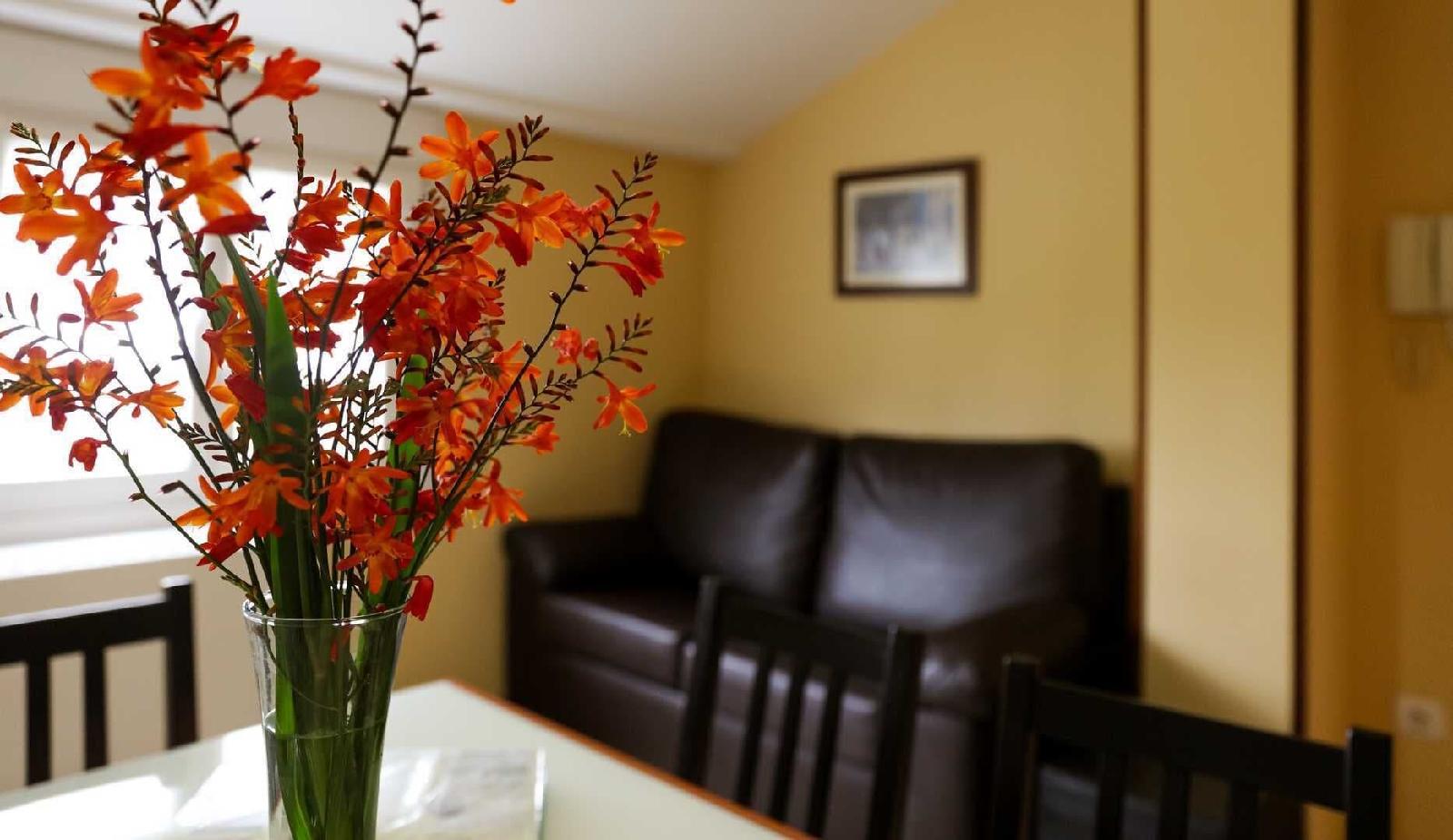 Apartamentos Tapia