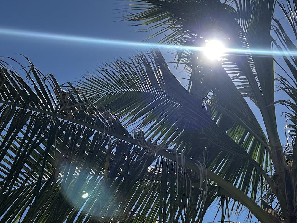 Condominio Agave del Mar