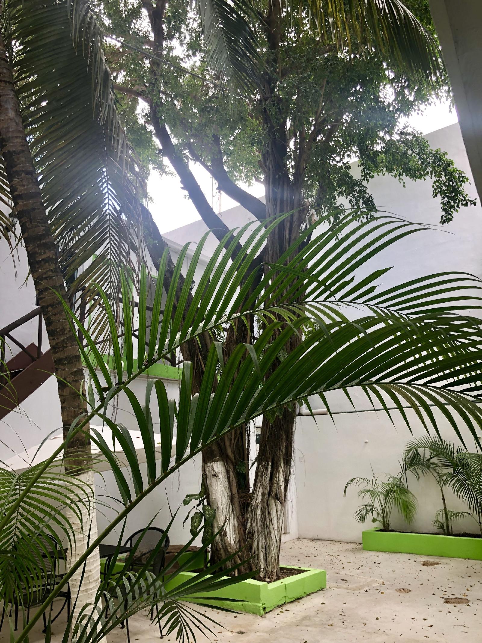 Mundo Maya