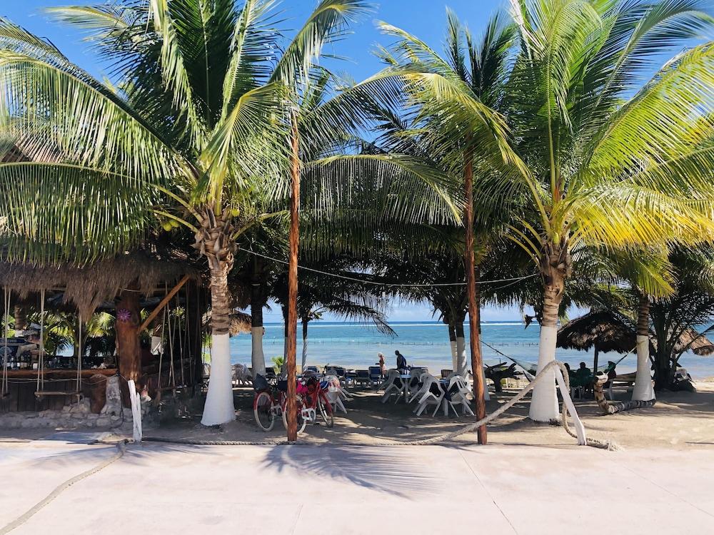 Camping Lunas Bar