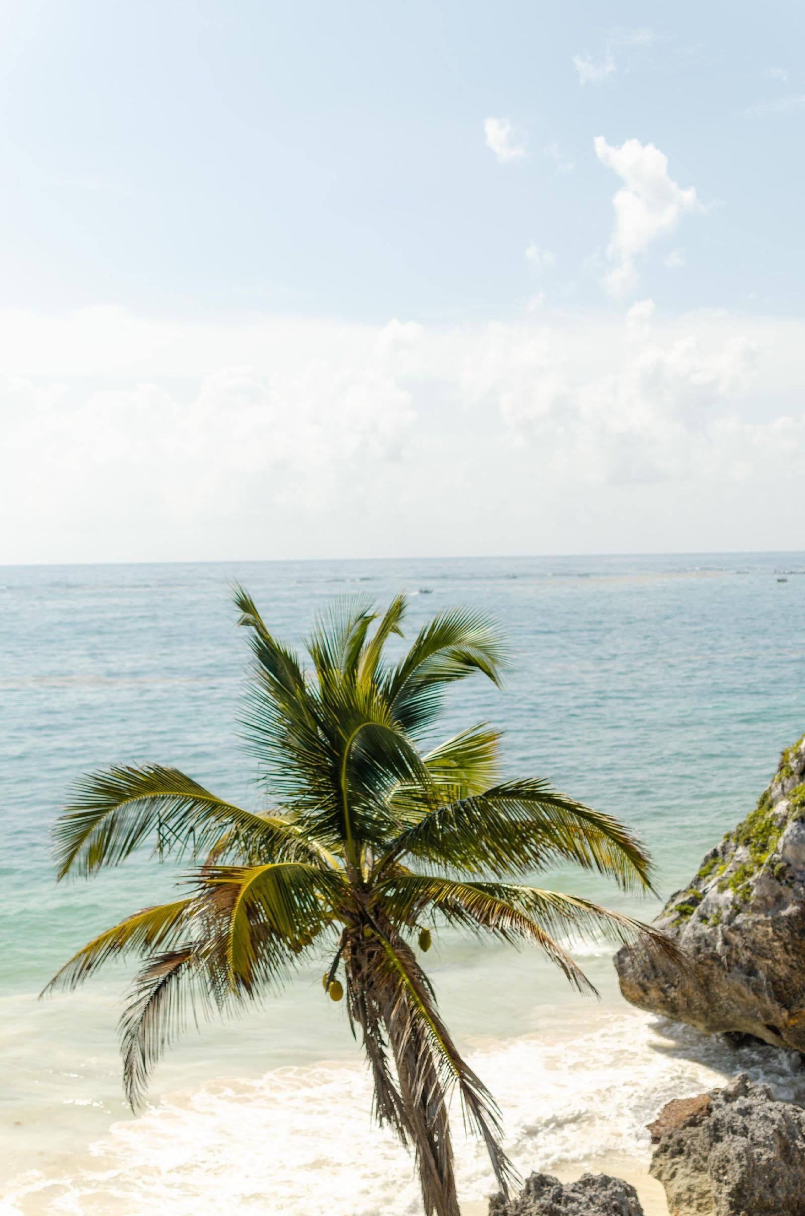 Nest Tulum