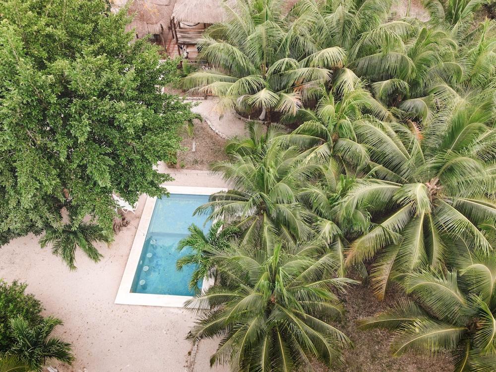 Royal Palm Bacalar