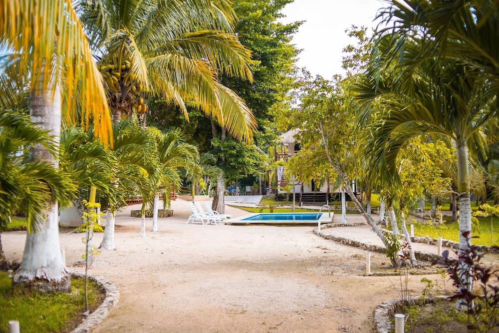 Royal Palm Bacalar