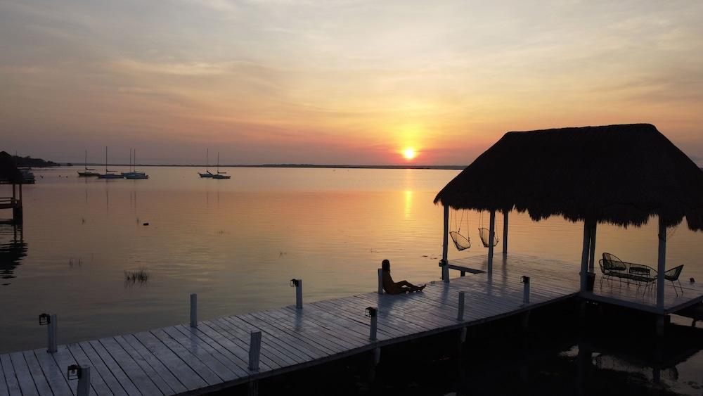 Royal Palm Bacalar