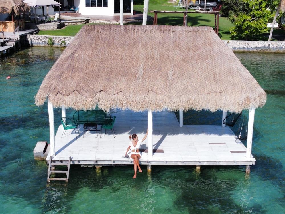 Royal Palm Bacalar