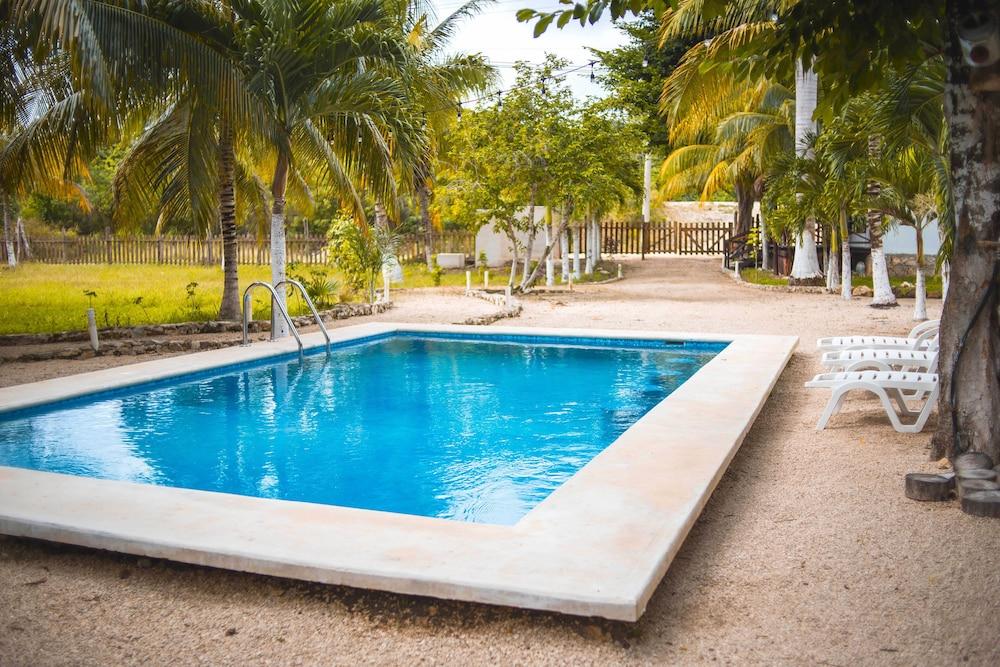 Royal Palm Bacalar