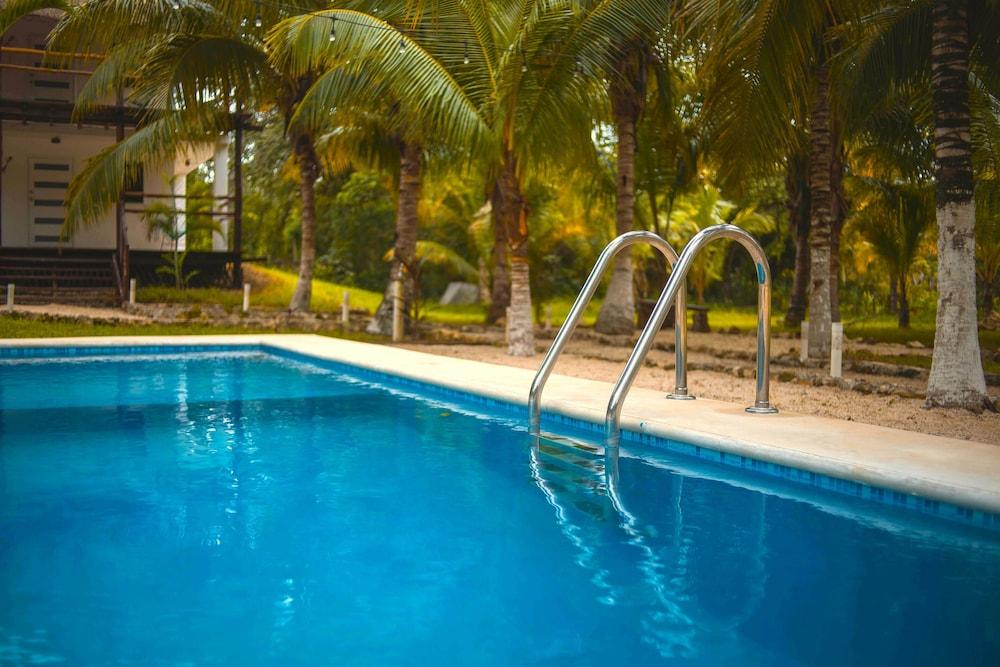 Royal Palm Bacalar