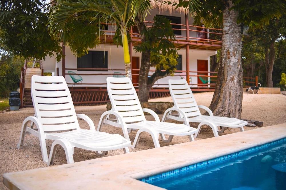 Royal Palm Bacalar