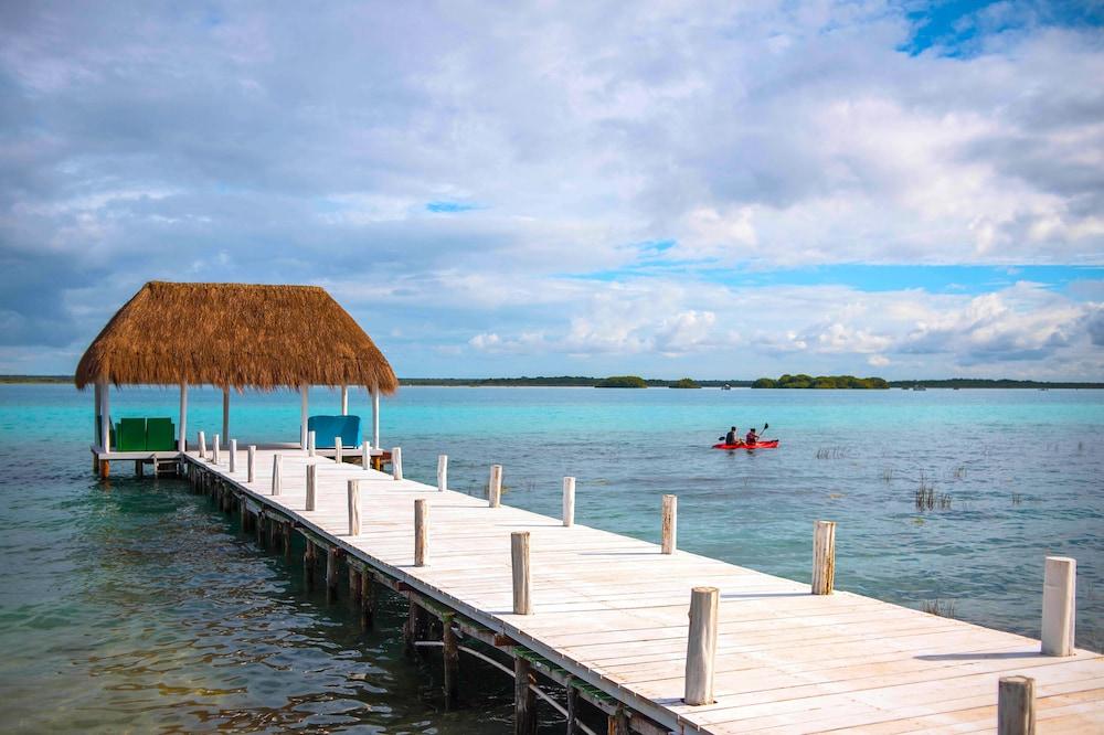 Royal Palm Bacalar
