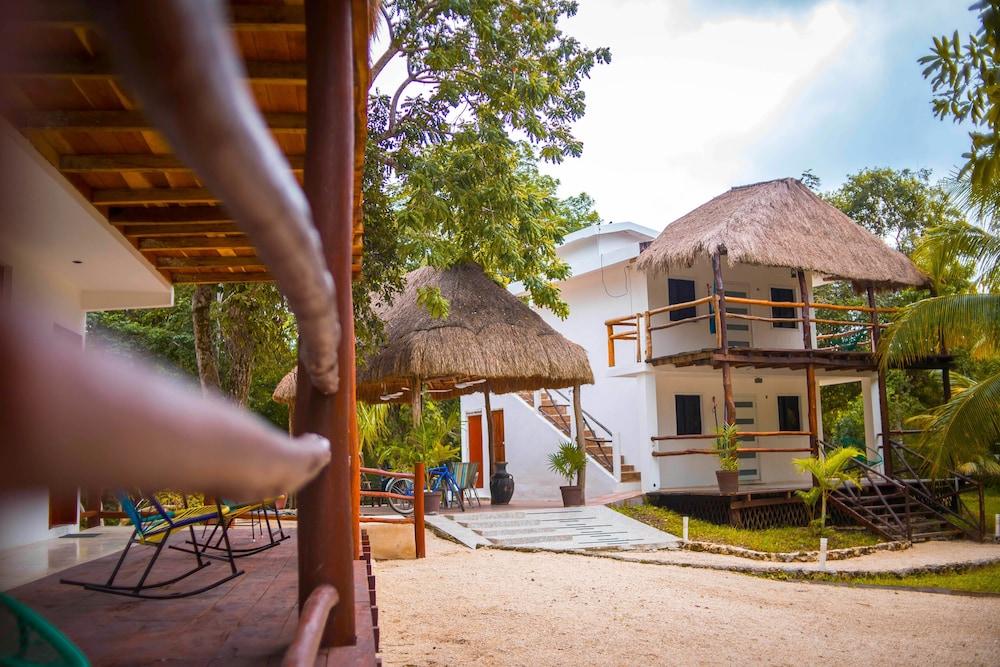 Royal Palm Bacalar