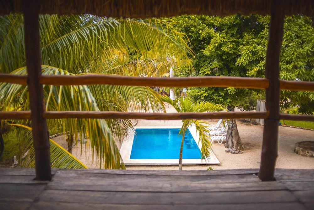 Royal Palm Bacalar