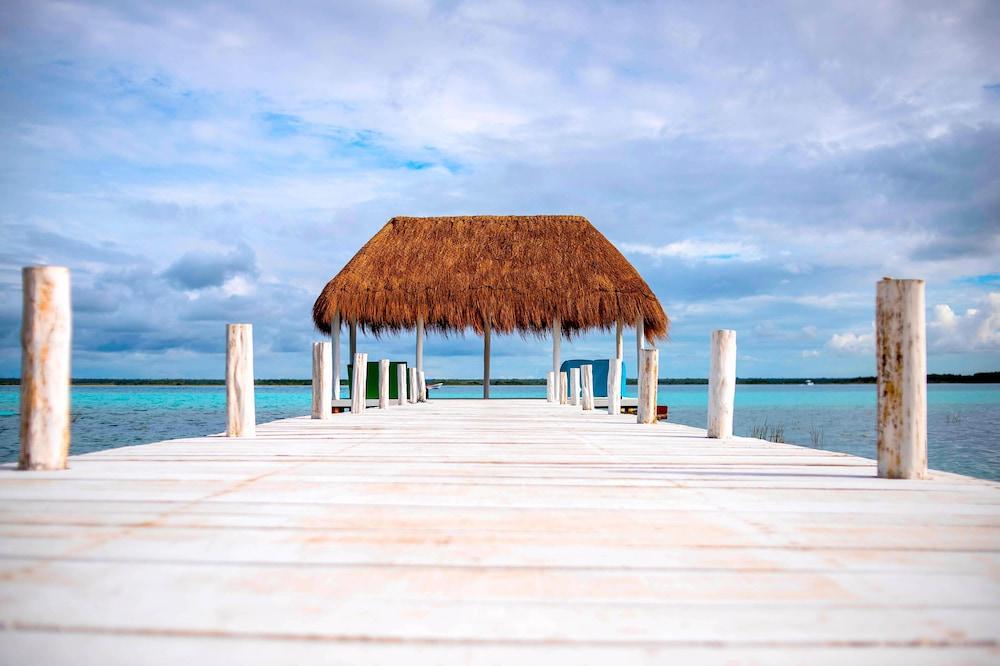 Royal Palm Bacalar