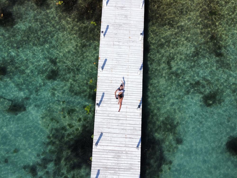 Royal Palm Bacalar