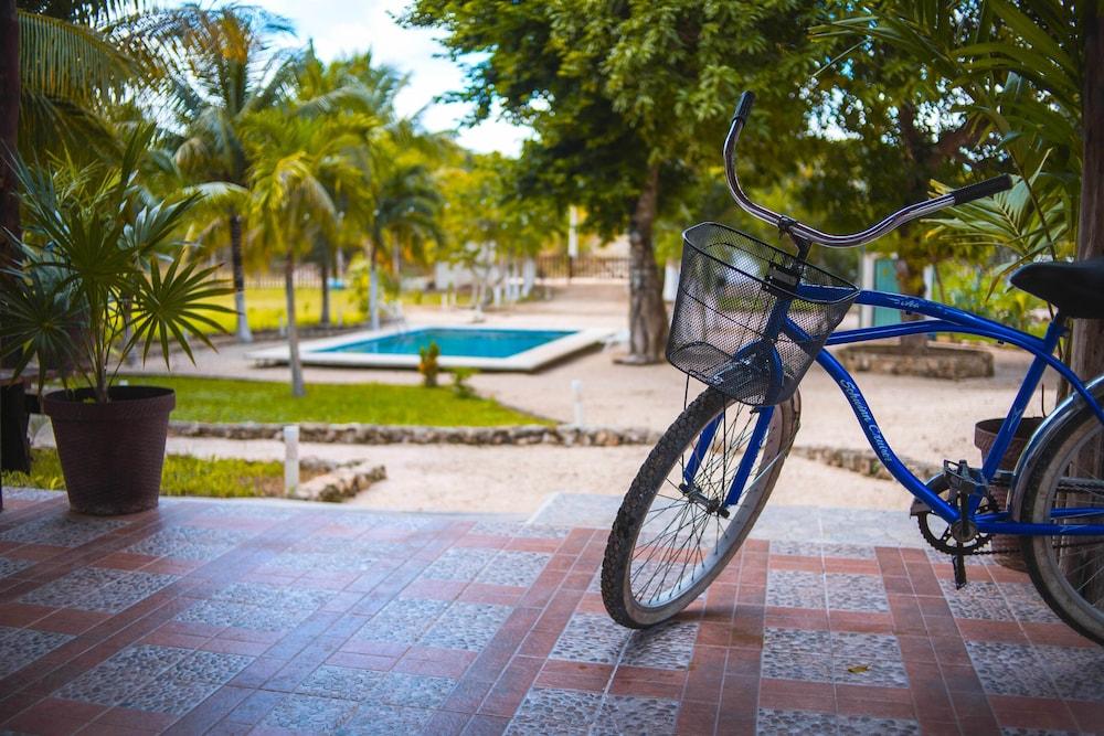 Royal Palm Bacalar