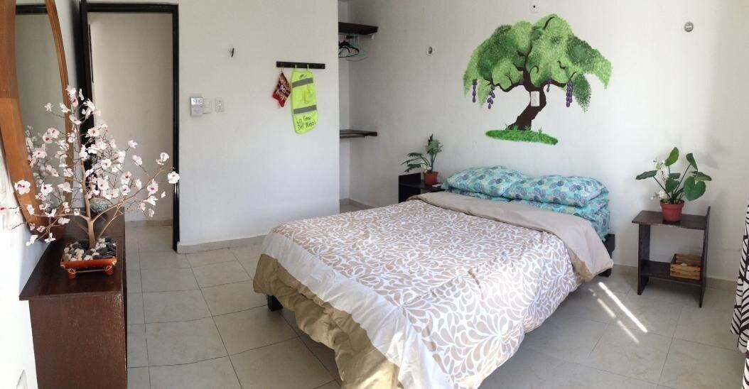 La Casa Del Arbol