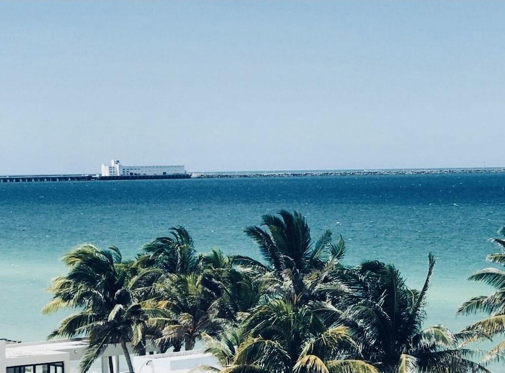 AMA Yucatan