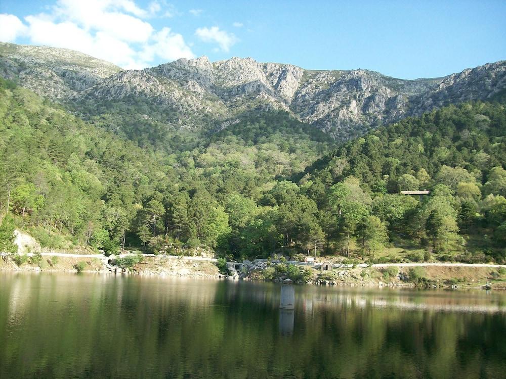 Amatalasvinas
