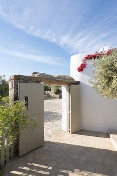 Ikies of Mykonos