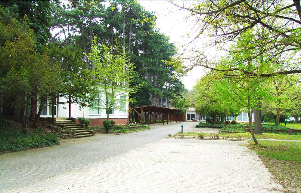 A Green Garden Hotel