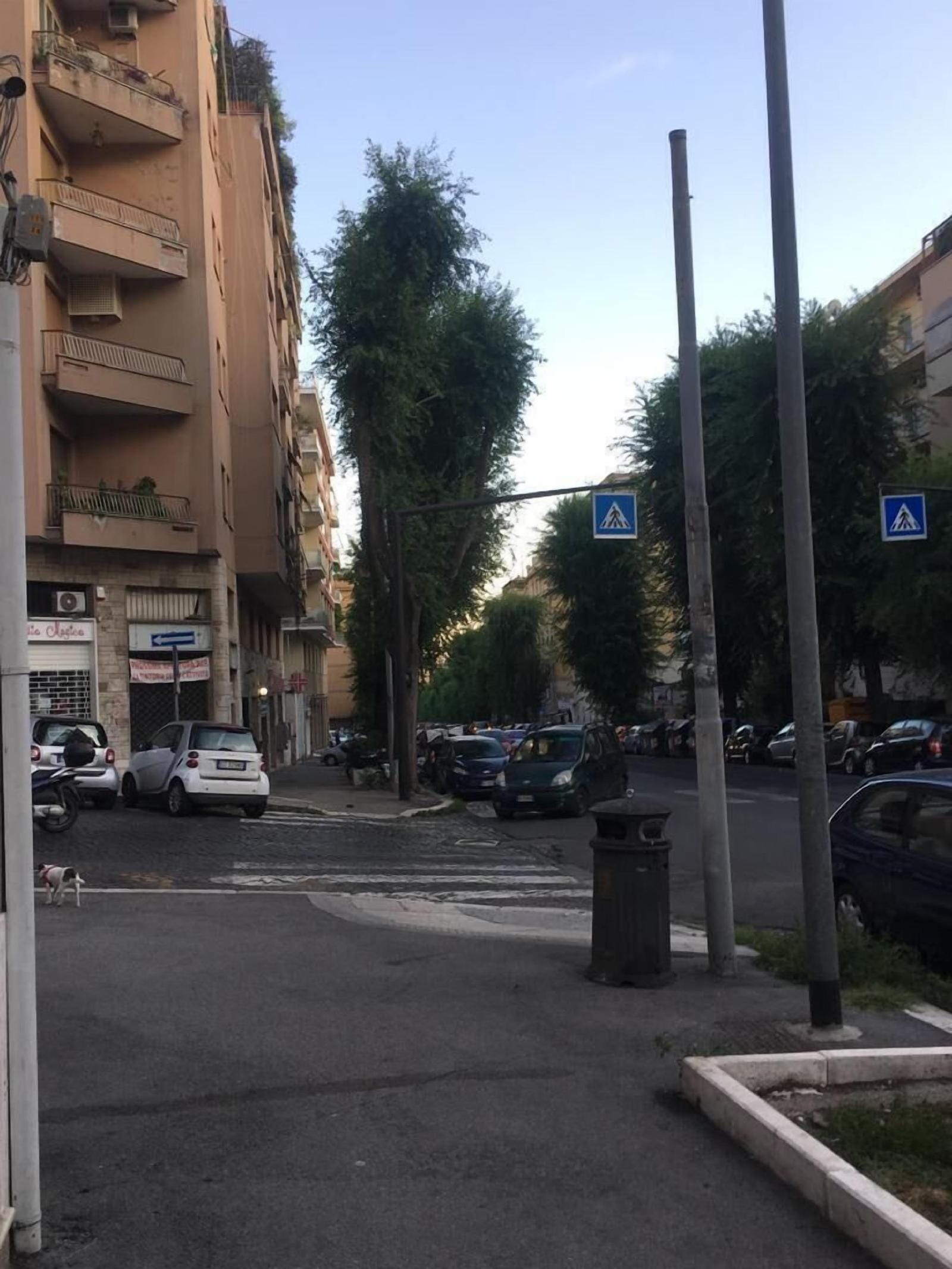 Il Faro Gianicolense