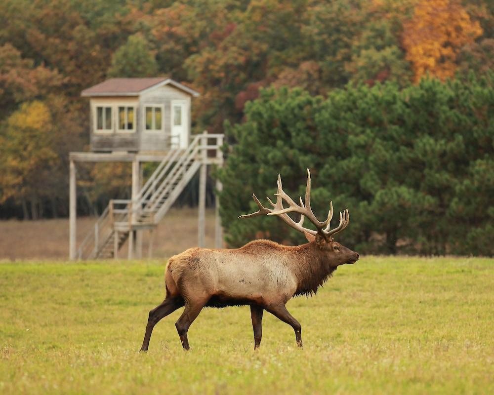 Edenwood Ranch And Preserve