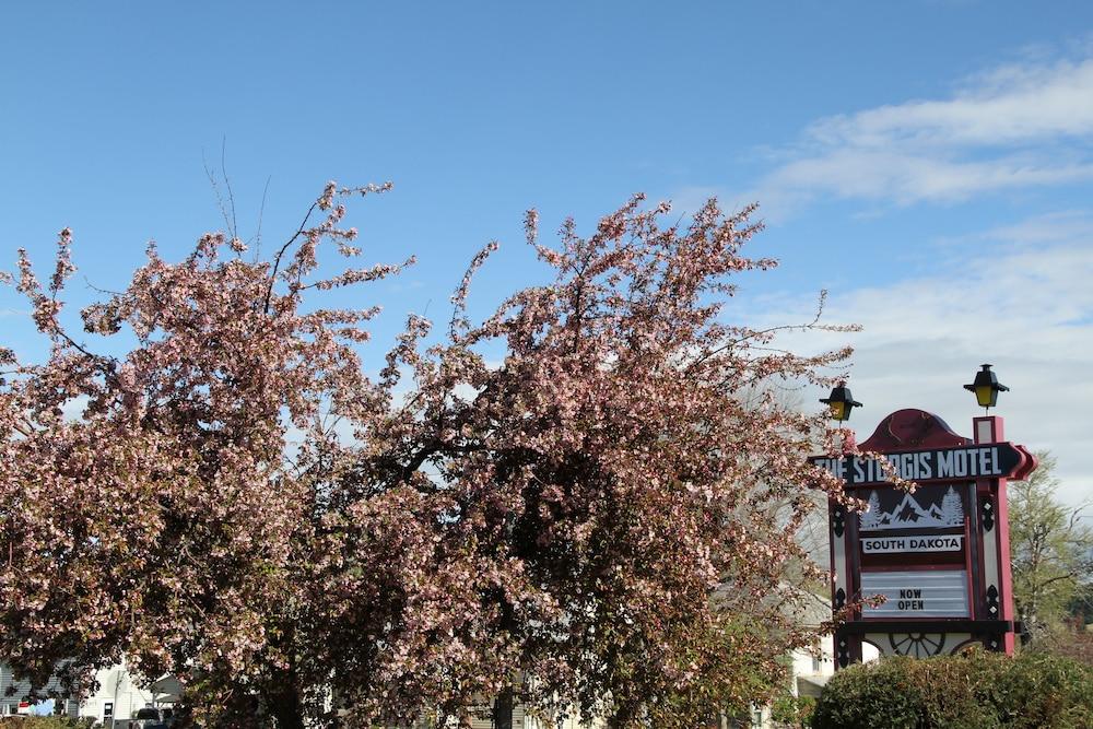 The Sturgis Motel