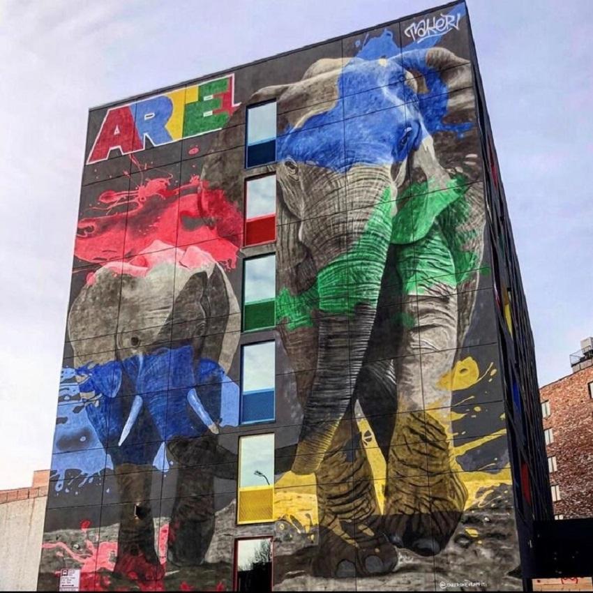 Artel Brooklyn