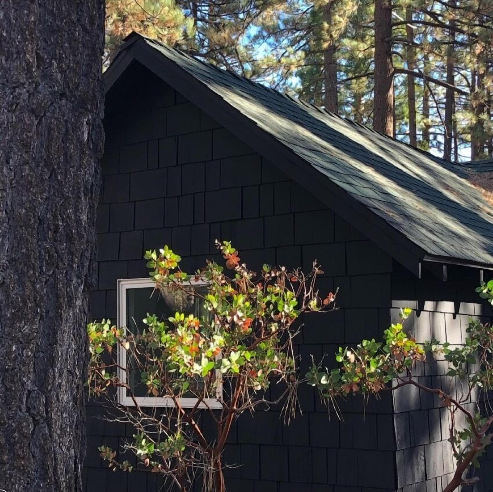 Colorado Lodge