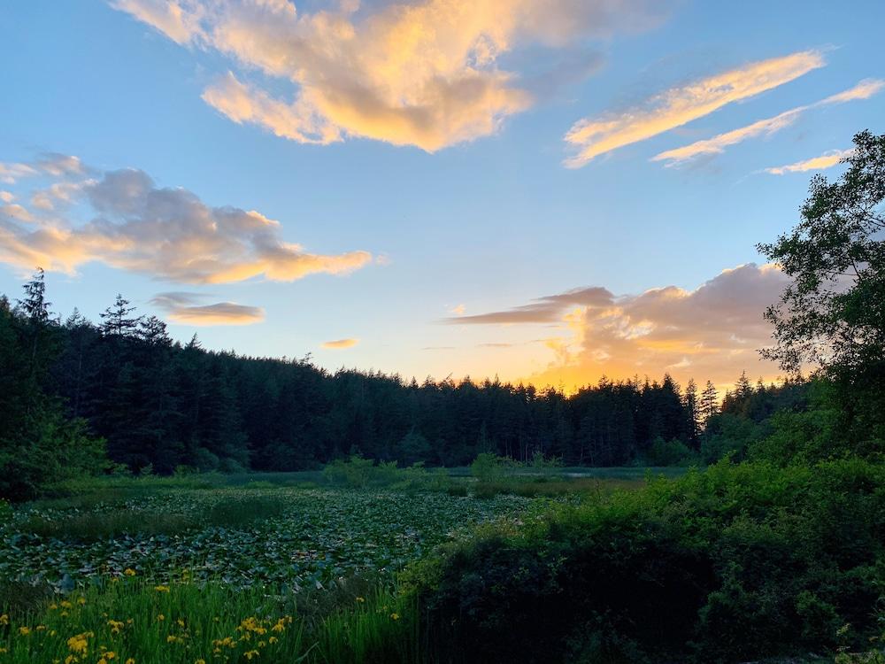 Otters Pond Bed and Breakfast