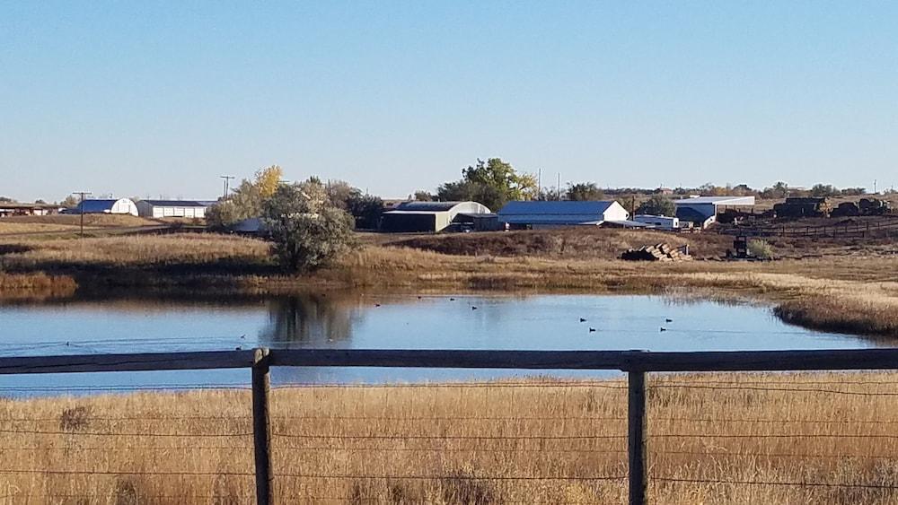 Drunk Duck Lodge