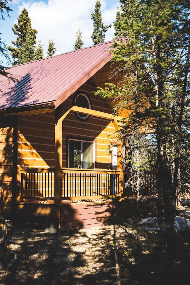 Denali Wild Stay