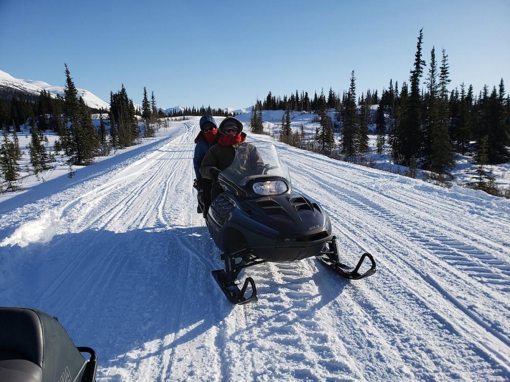 Denali Wild Stay