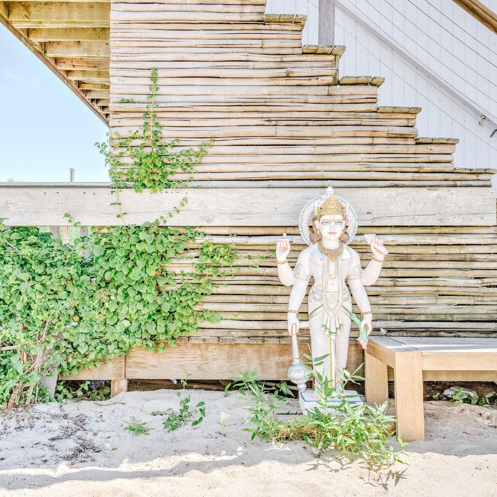The Surf Lodge