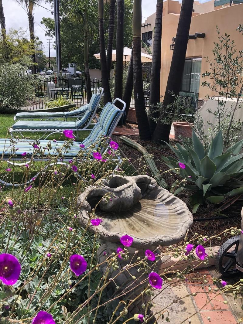 Casa Del Sol Motel