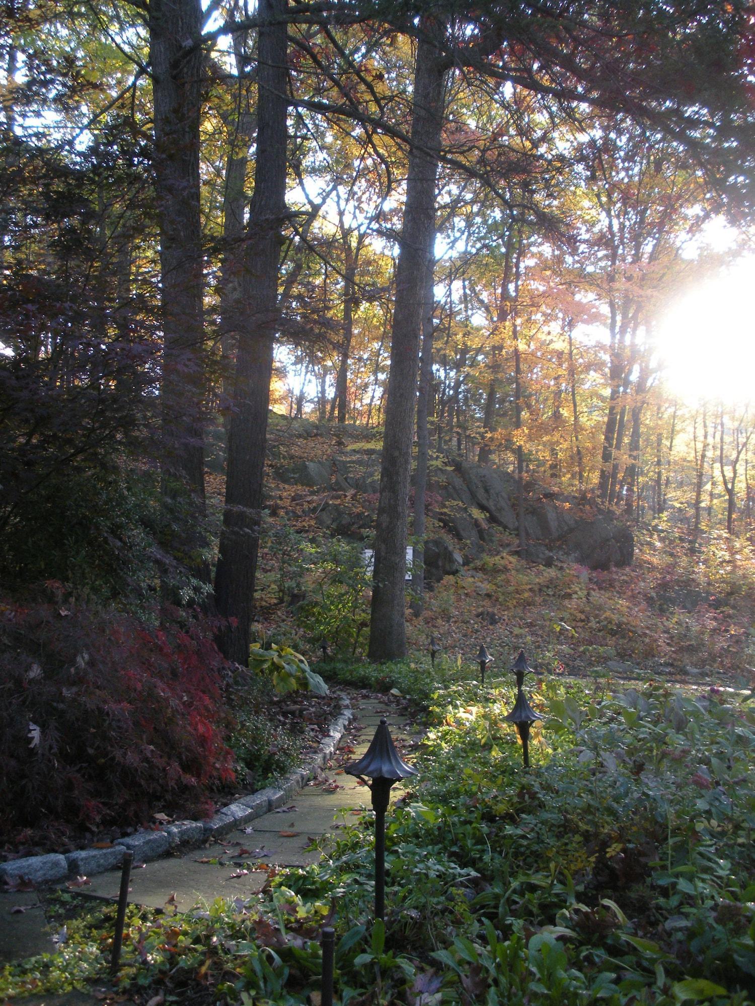 Inn the Woods Bed & Breakfast