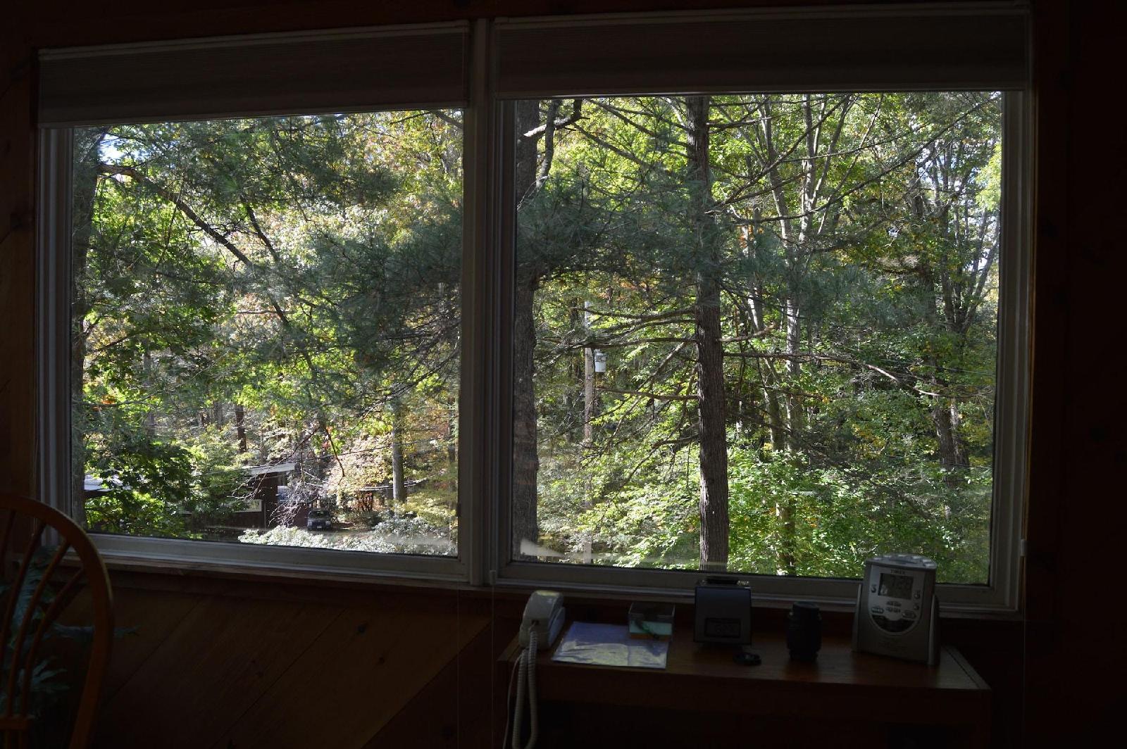 Inn the Woods Bed & Breakfast