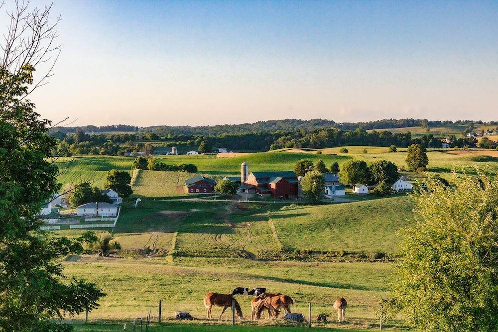 Hillside Inn