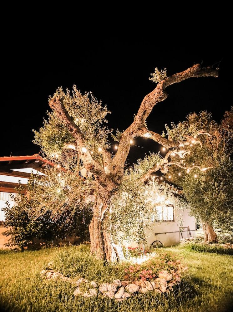Residence Bellaria