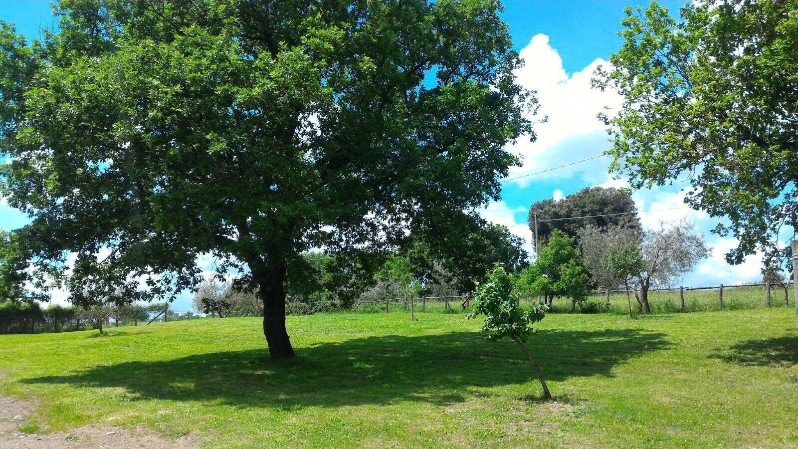 Agriturismo San Filippo