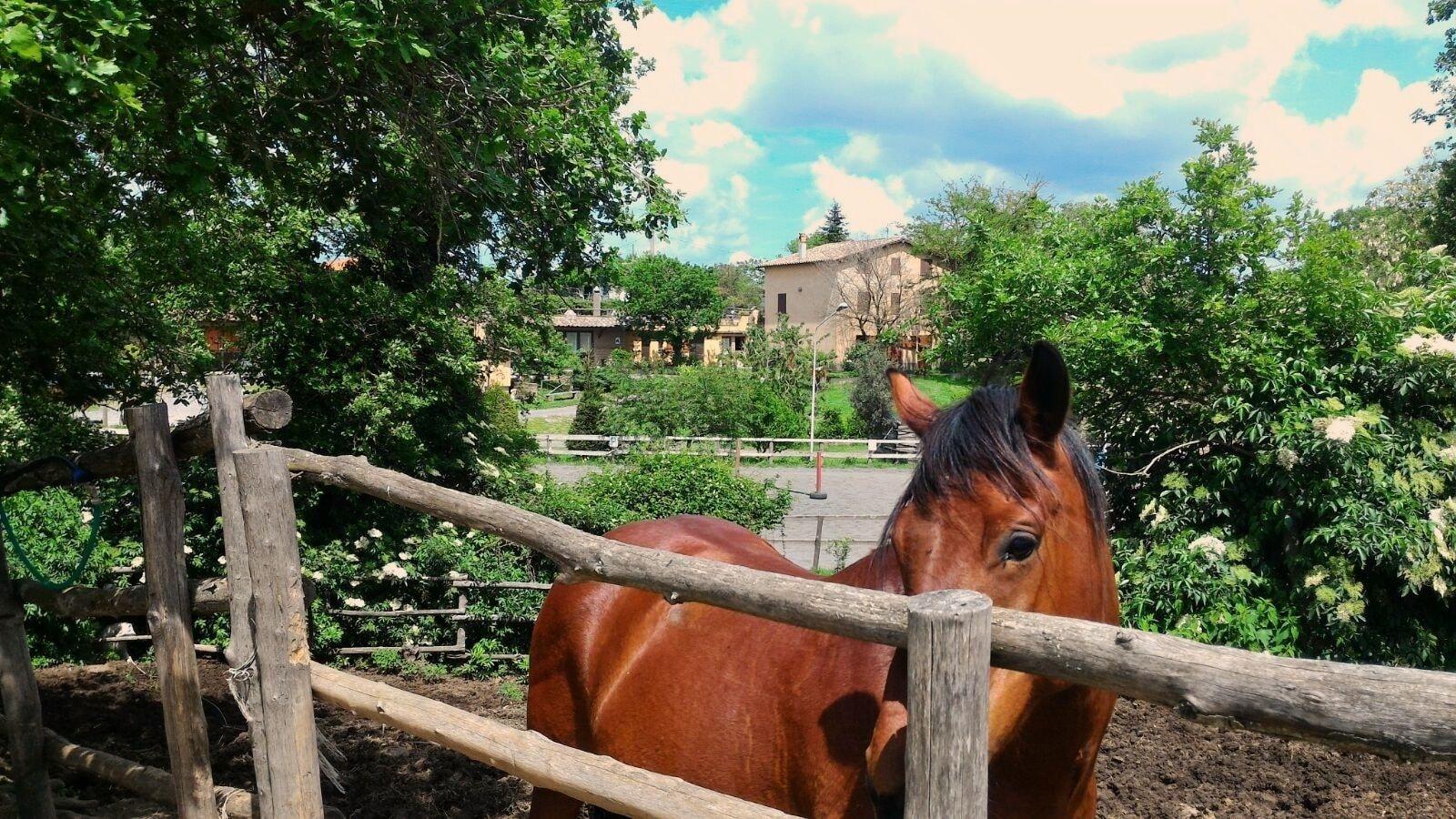Agriturismo San Filippo