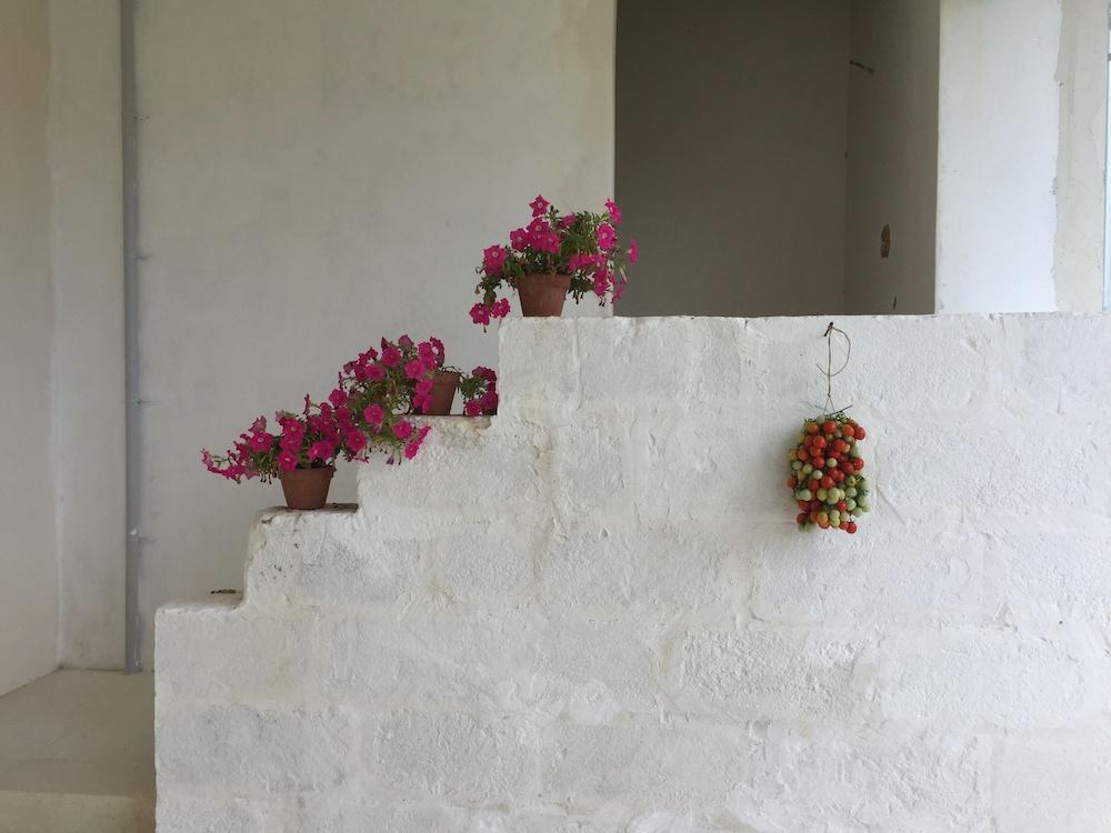 Masseria Rauccio